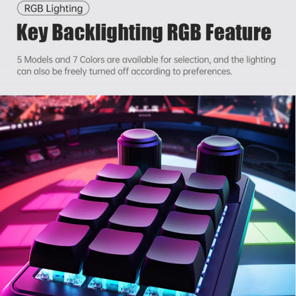 Picokey. One-Handed Macro Mechanical Keyboard - 12 Keys, Fully Programmable, RGB Hotswap for Gaming, OSU, PS, Editing (2.4G, 3-Layer, Black)